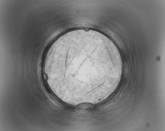 X0000116370677201001131748