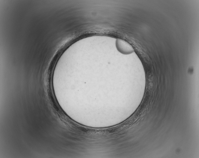 X0000116370679201001131748