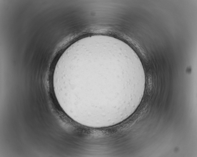 X0000116370682201001131748