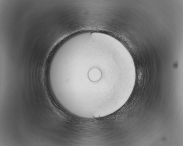 X0000116370684201001131748