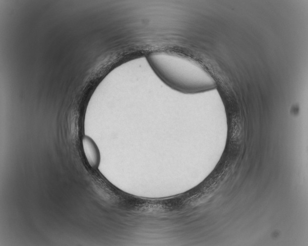 X0000116370685201001131748