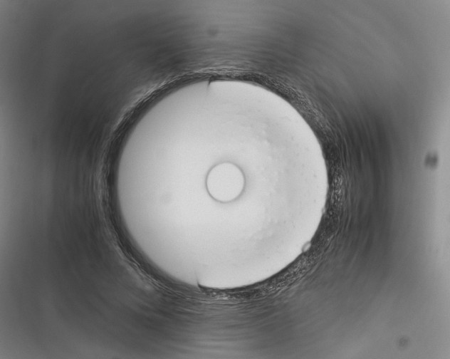 X0000116370688201001131748