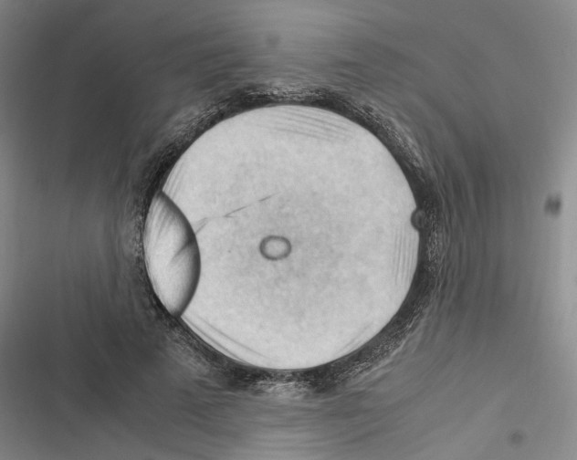 X0000116370689201001131748