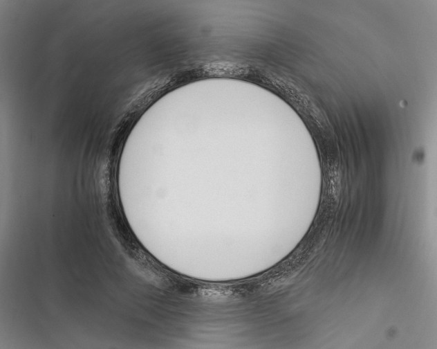 X0000116370690201001131748