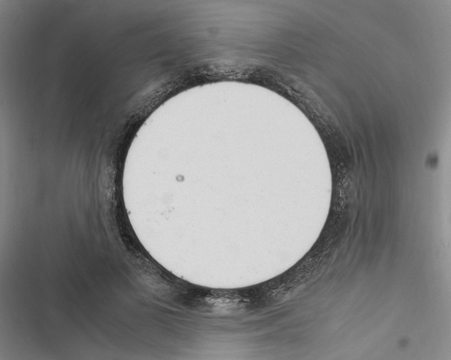 X0000116370693201001131748