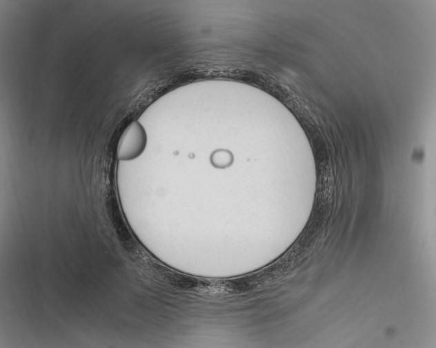 X0000116370695201001131748