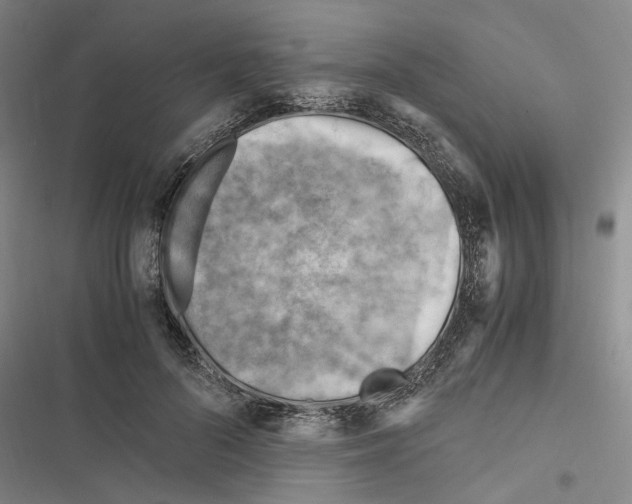 X0000116370696201001131748