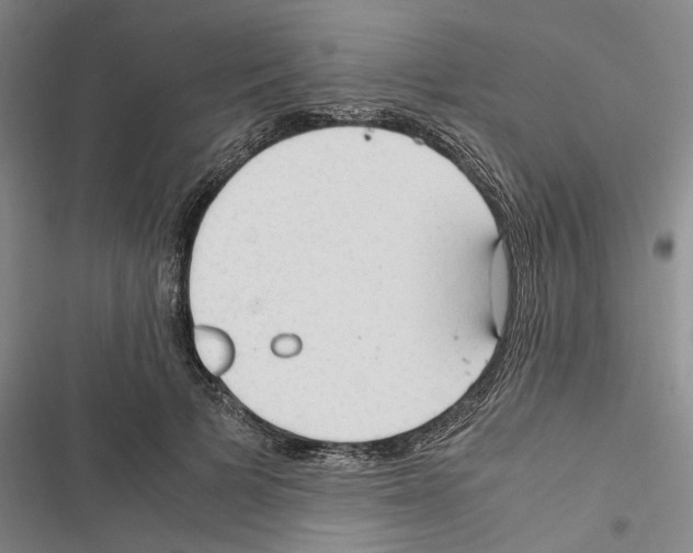 X0000116370697201001131748