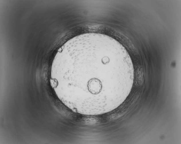 X0000116370698201001131748