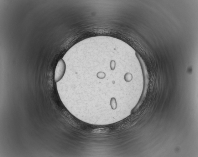 X0000116370700201001131748