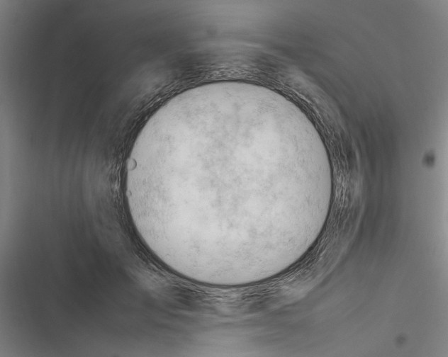 X0000116370701201001131748