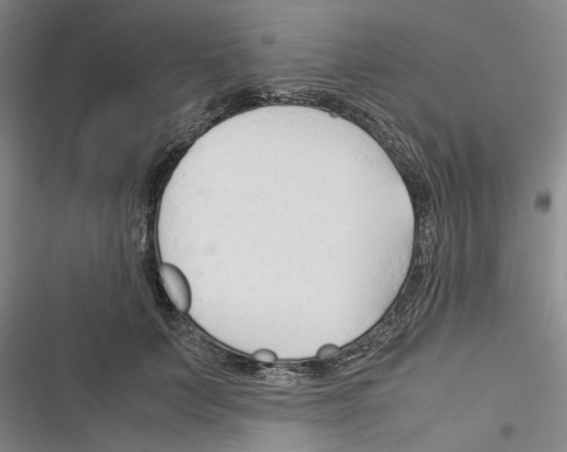 X0000116370703201001131748