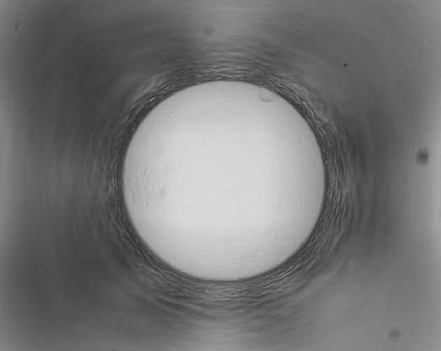 X0000116370705201001131748