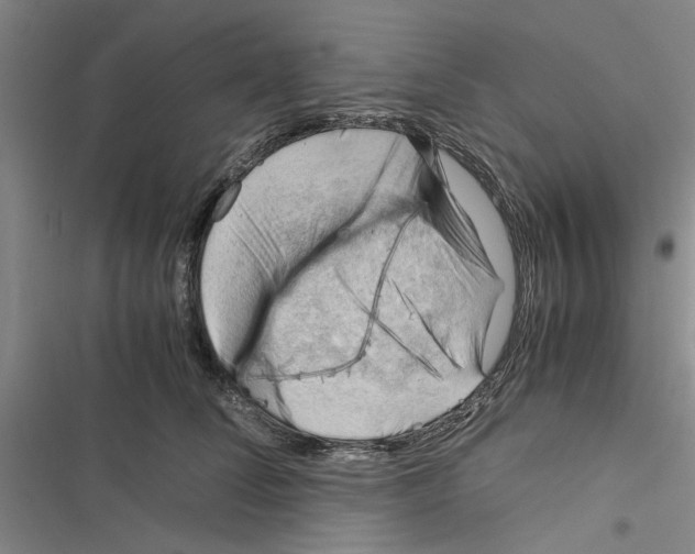 X0000116370708201001131747