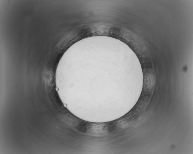 X0000116370709201001131747