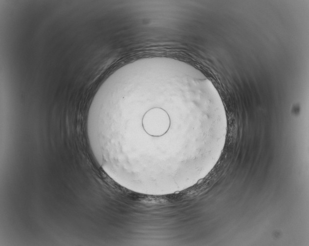 X0000116370712201001131747