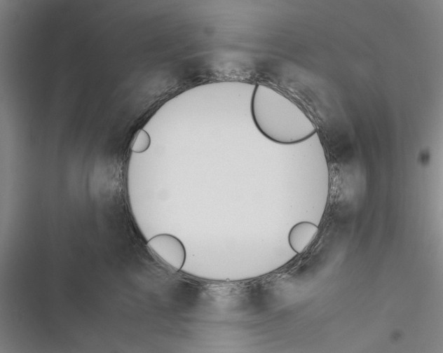 X0000116370713201001131747