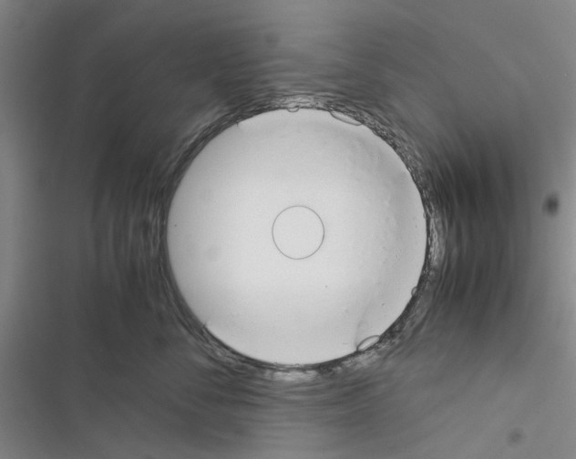 X0000116370716201001131747