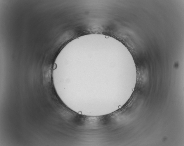 X0000116370717201001131747