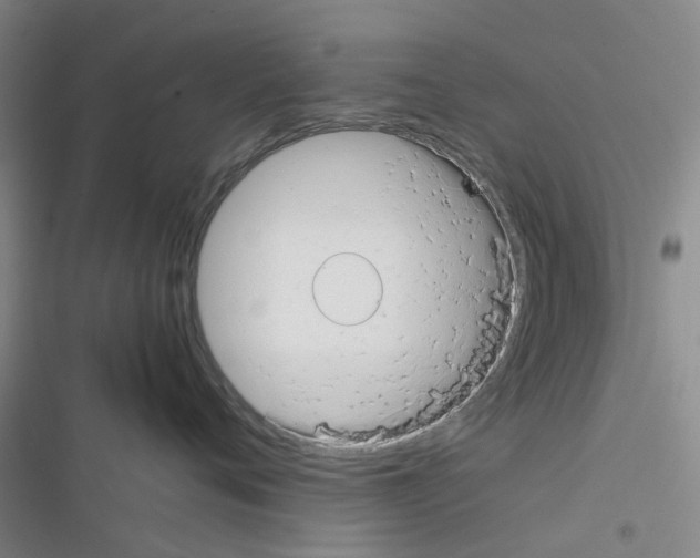 X0000116370720201001131747