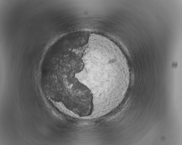 X0000116370721201001131747