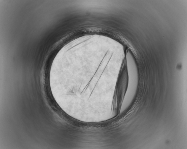 X0000116370722201001131747