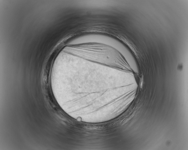 X0000116370723201001131747