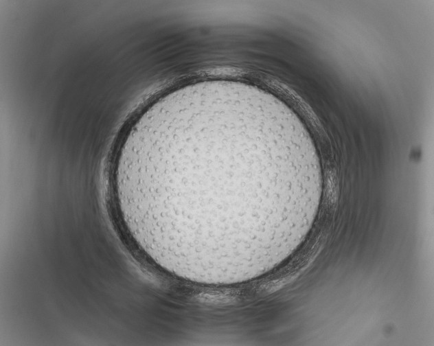 X0000116370725201001131747