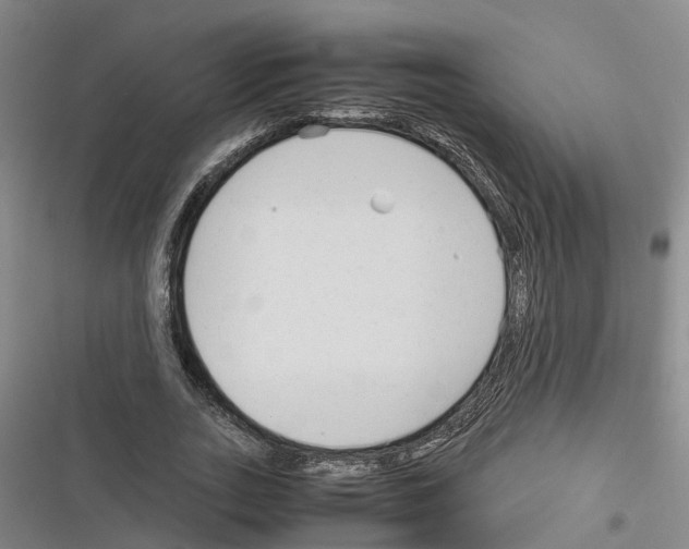 X0000116370727201001131747