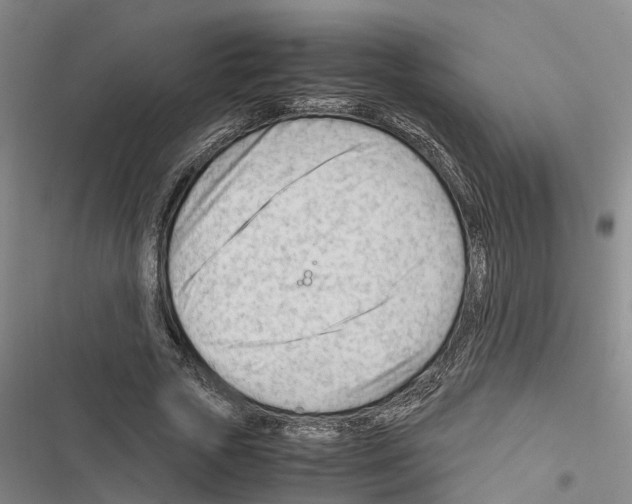 X0000116370729201001131747