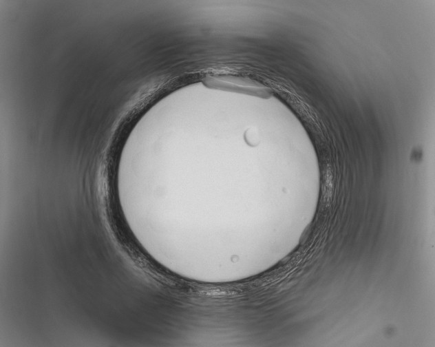 X0000116370734201001131747