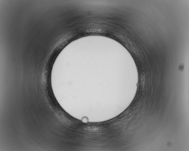 X0000116370735201001131747