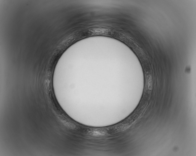 X0000116370737201001131747