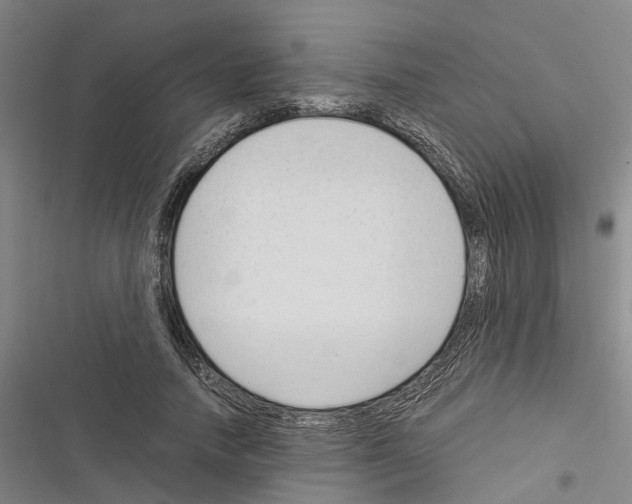 X0000116370738201001131747