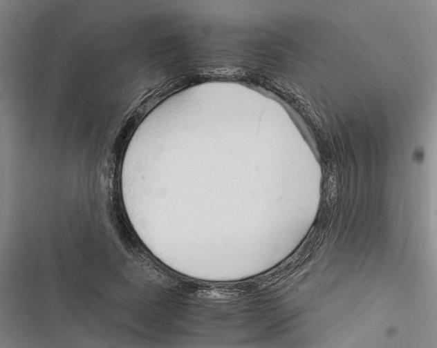 X0000116370739201001131747