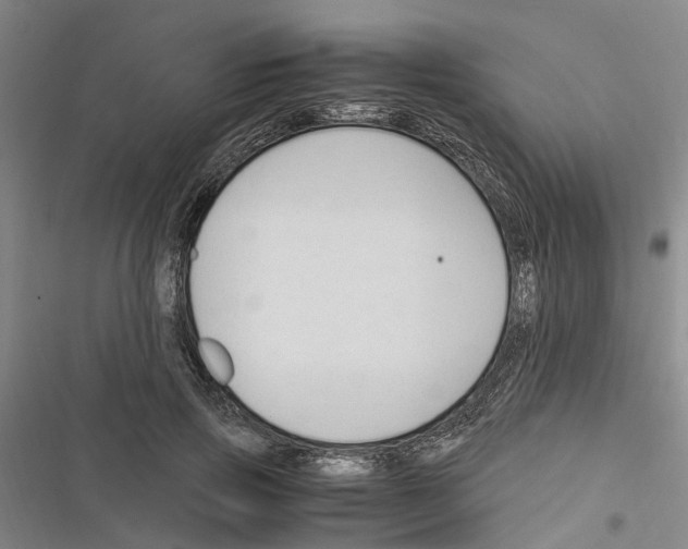 X0000116370741201001131747