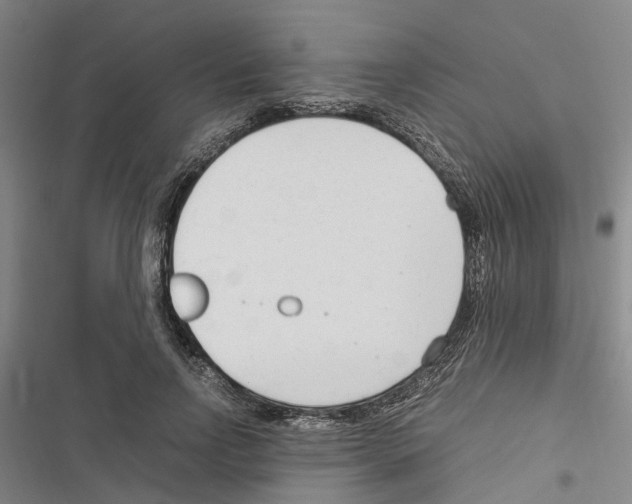 X0000116370742201001131747