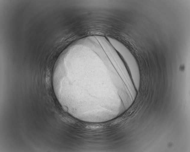 X0000116370745201001131747