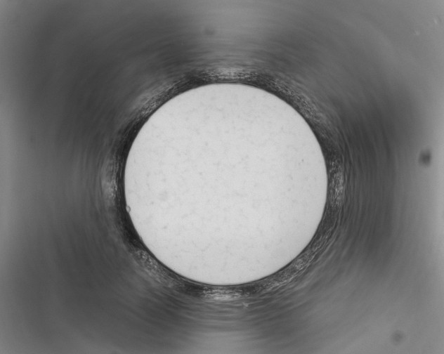 X0000116370746201001131747