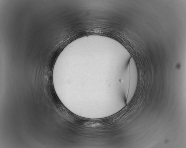 X0000116370747201001131747