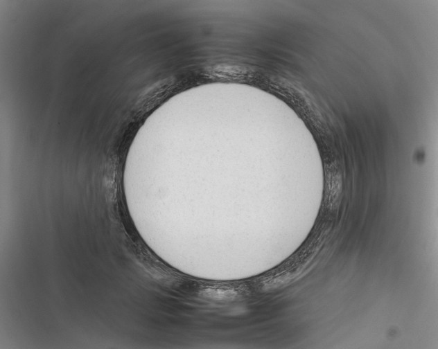 X0000116370749201001131747