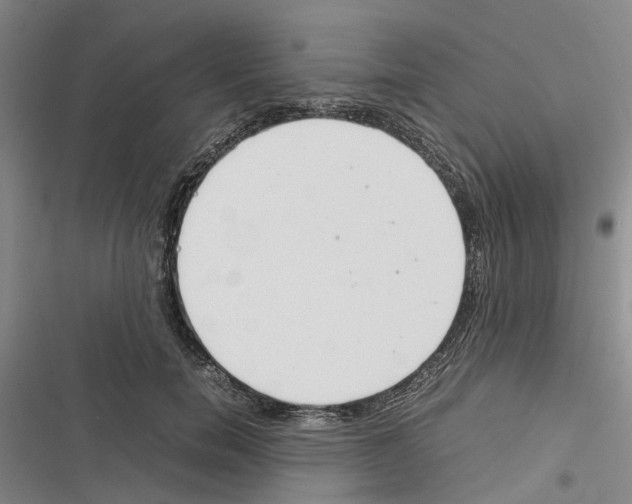 X0000116370750201001131747