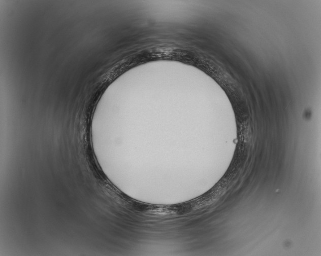 X0000116370754201001131747