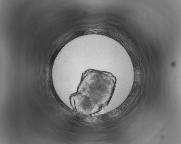 X0000116370757201001131747