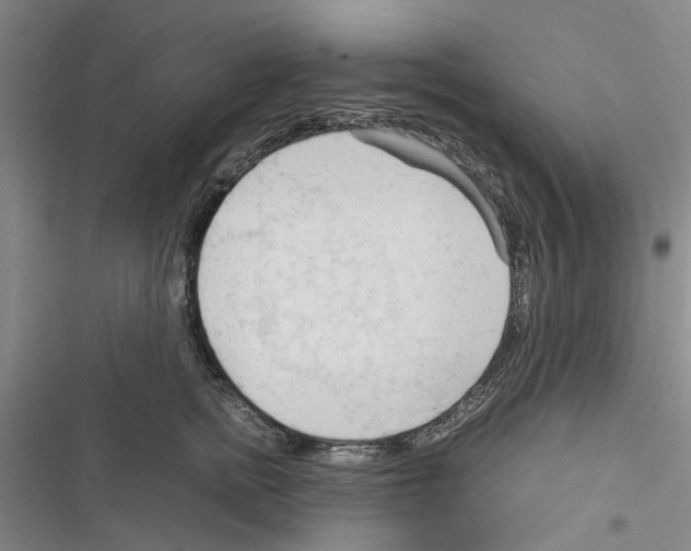 X0000116370758201001131747