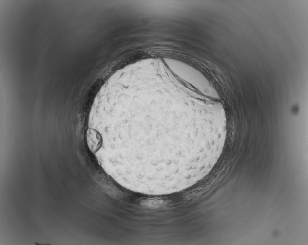 X0000116370759201001131747