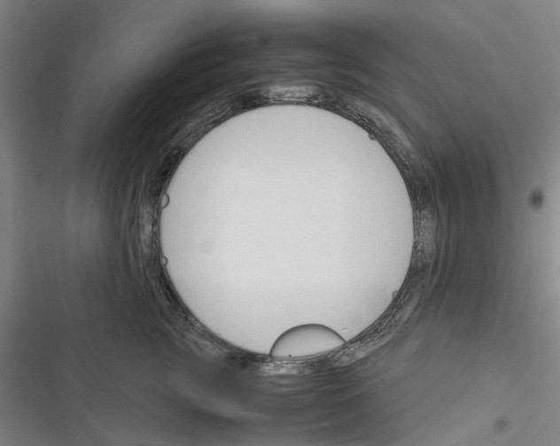 X0000116370761201001131747