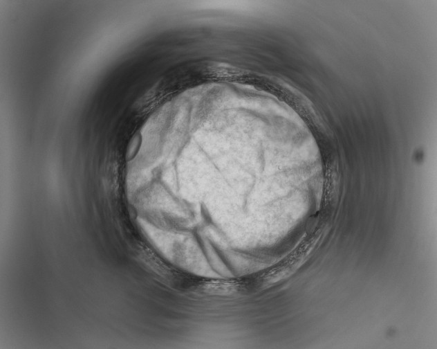 X0000116370762201001131747