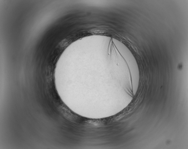 X0000116370763201001131747