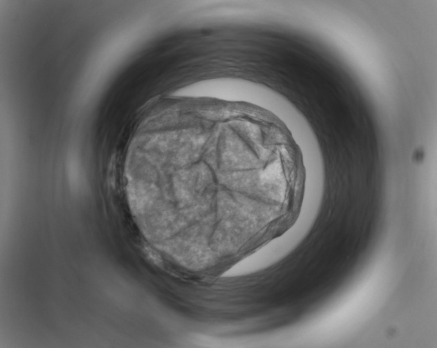 X0000116370766201001131747